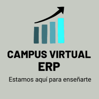 Campus Virtual ERP